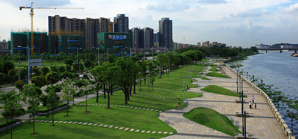 广州市金沙洲居住新城P线景观、K、M、N、U路绿化工程